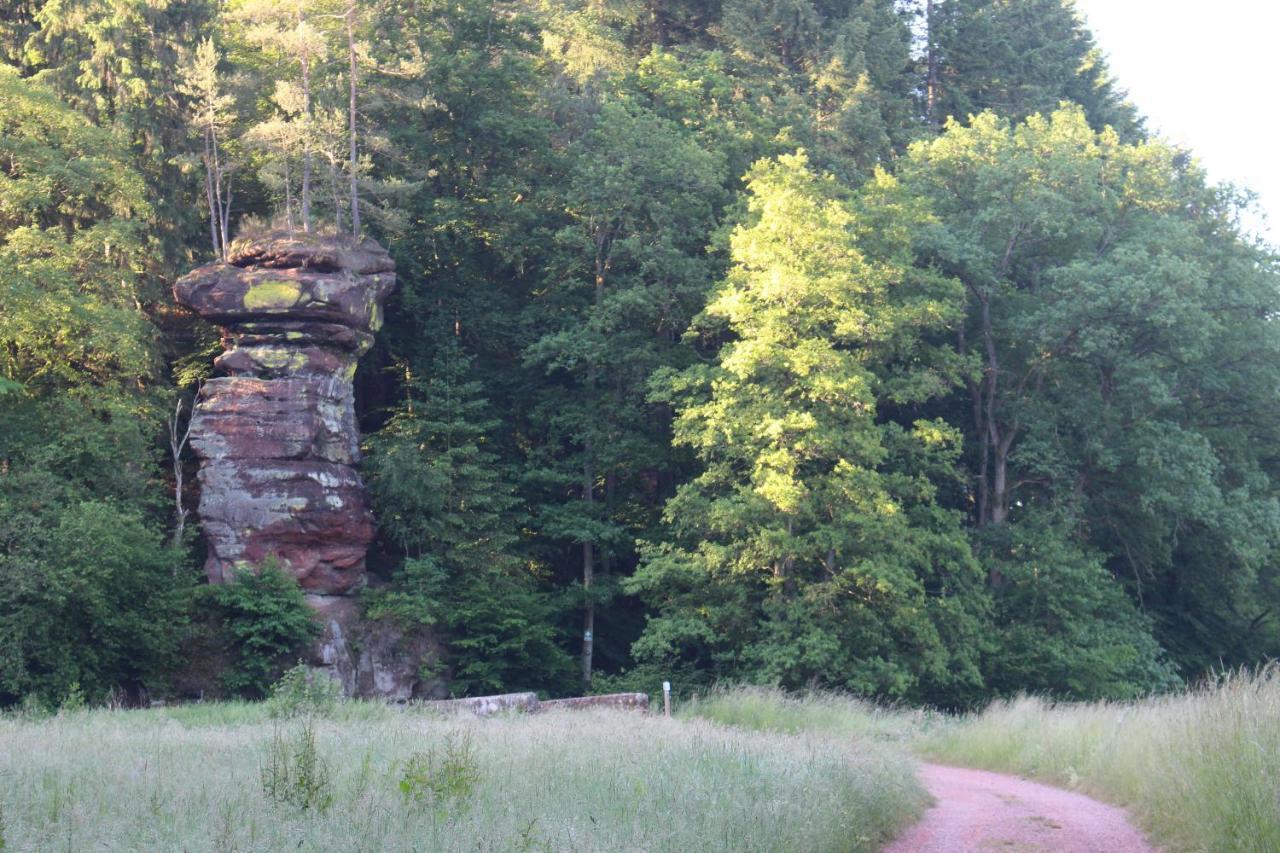 Gaestehaus Herrenmuehle Freudenburg  エクステリア 写真