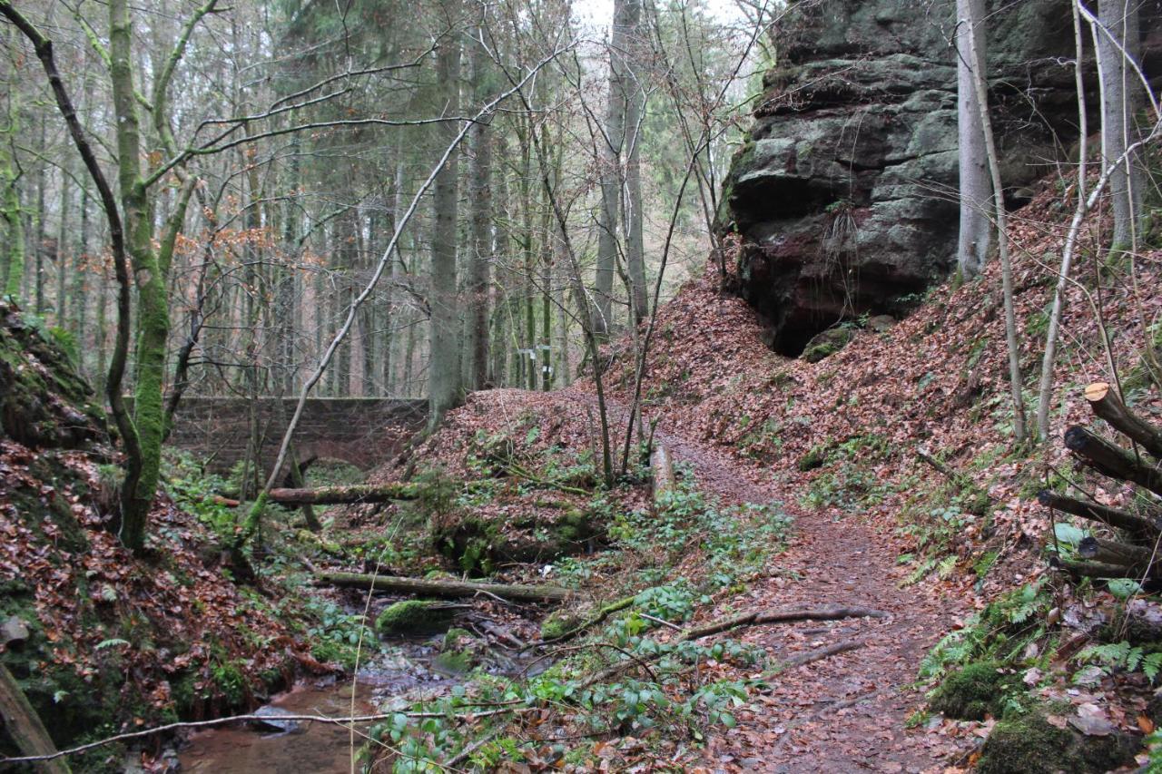 Gaestehaus Herrenmuehle Freudenburg  エクステリア 写真